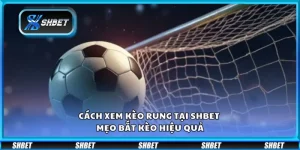 Cách xem kèo rung tại Shbet - Mẹo bắt kèo hiệu quả