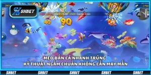 Mẹo bắn cá nhanh trúng - Kỹ thuật ngắm chuẩn không cần may mắn
