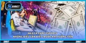 Mẹo cá cược Esports – Những điều cần biết trước khi xuống tiền