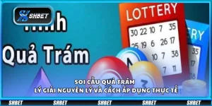 Soi cầu quả trám – Lý giải nguyên lý và cách áp dụng thực tế